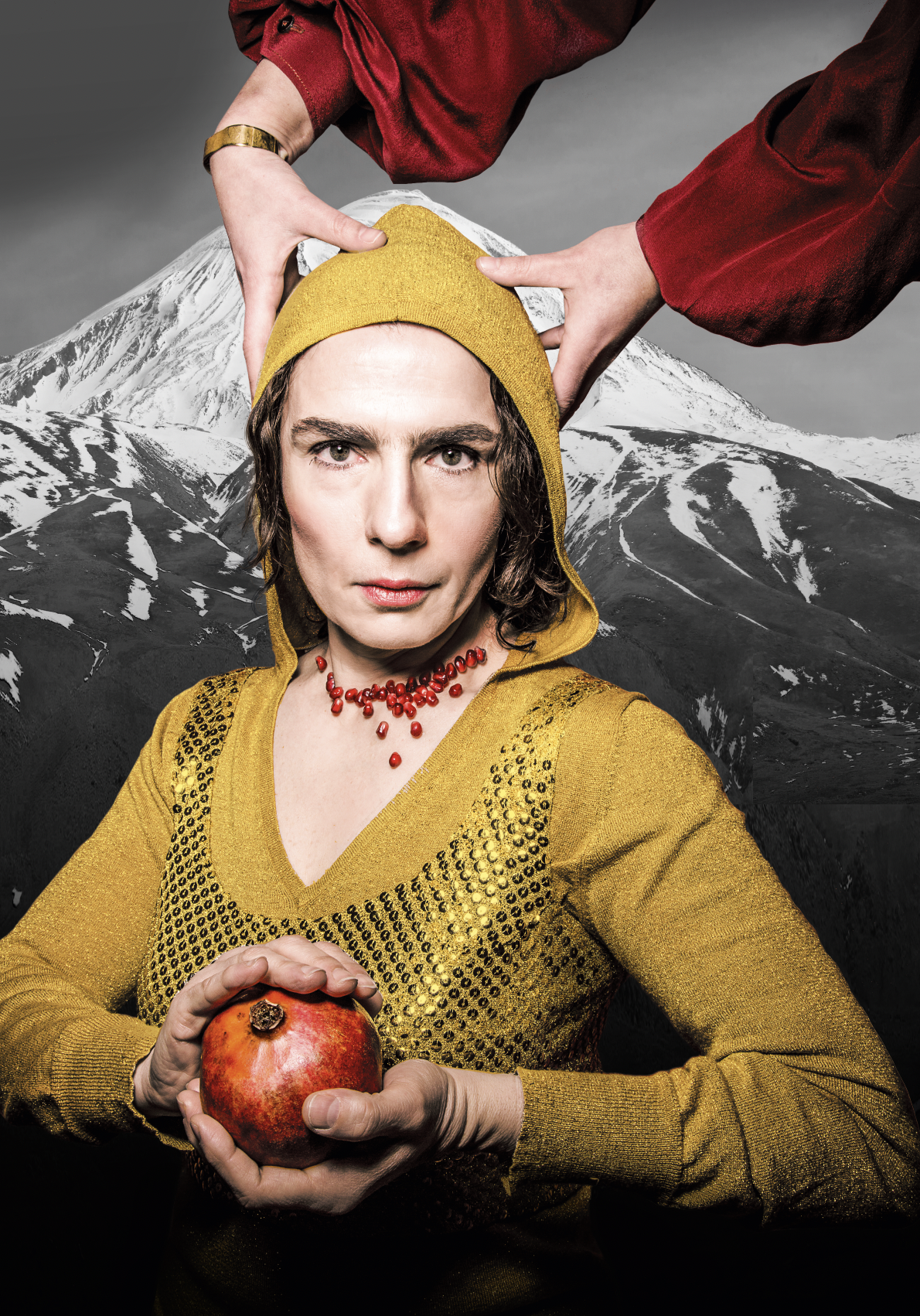 Cover image for Survivor Archives